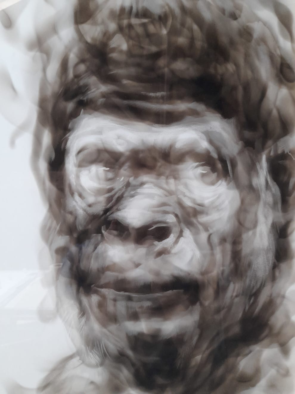 Diane Victor, Singe, 2023