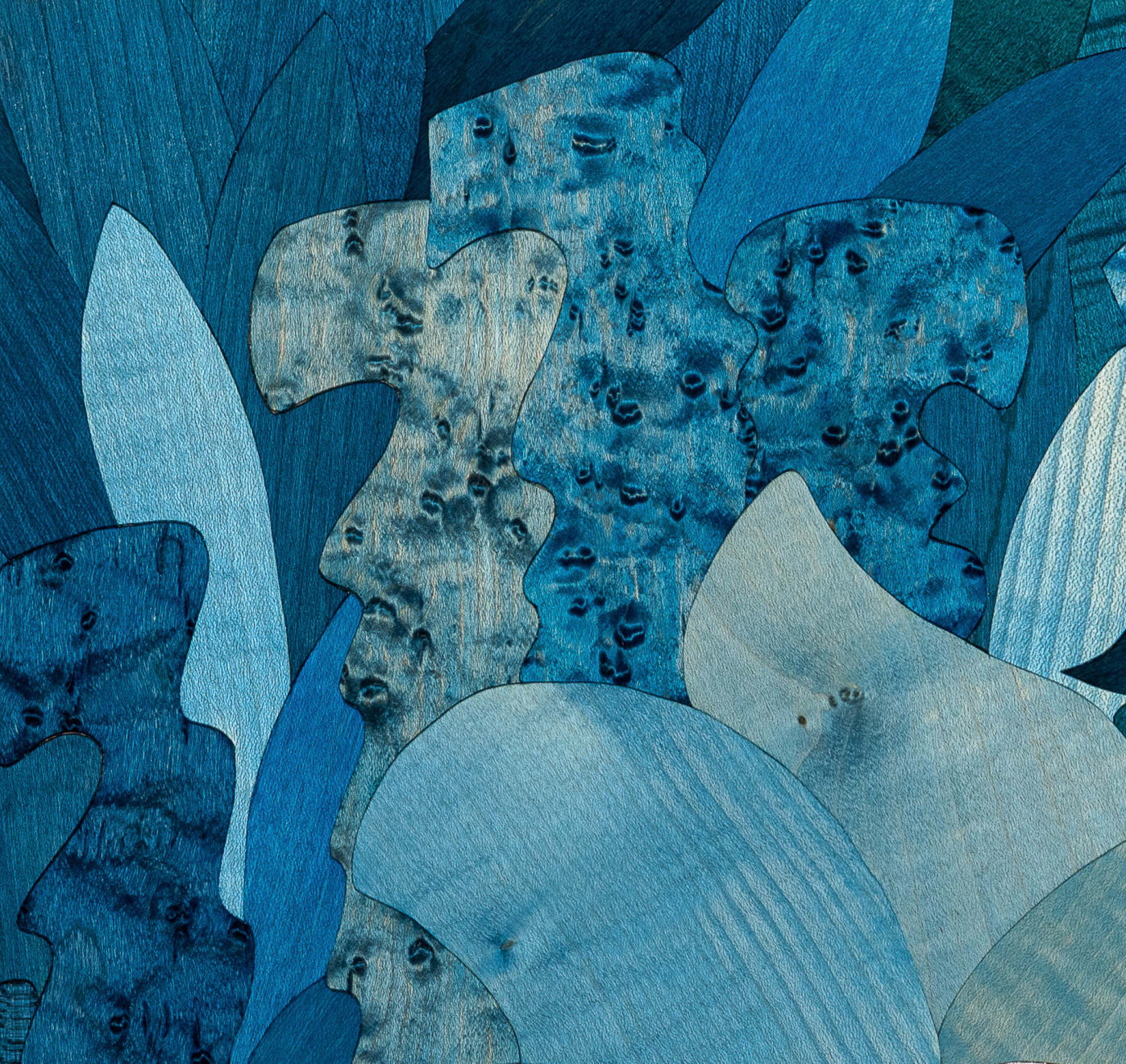 Anton Laborde, Le Frigo qui cache la forêt (The Fridge that hides the forest), 2025