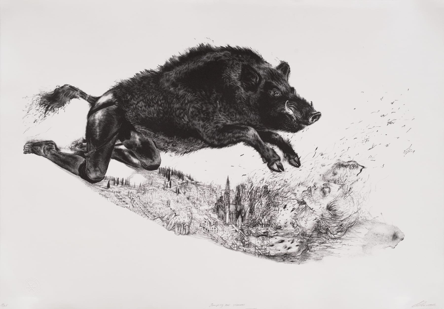 Diane Victor, Jumping the Shadow, 2017