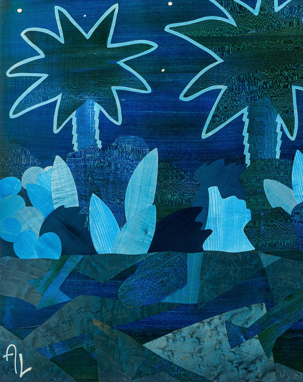 Anton Laborde, Danser sous les étoiles (Dancing Under the Stars), 2025