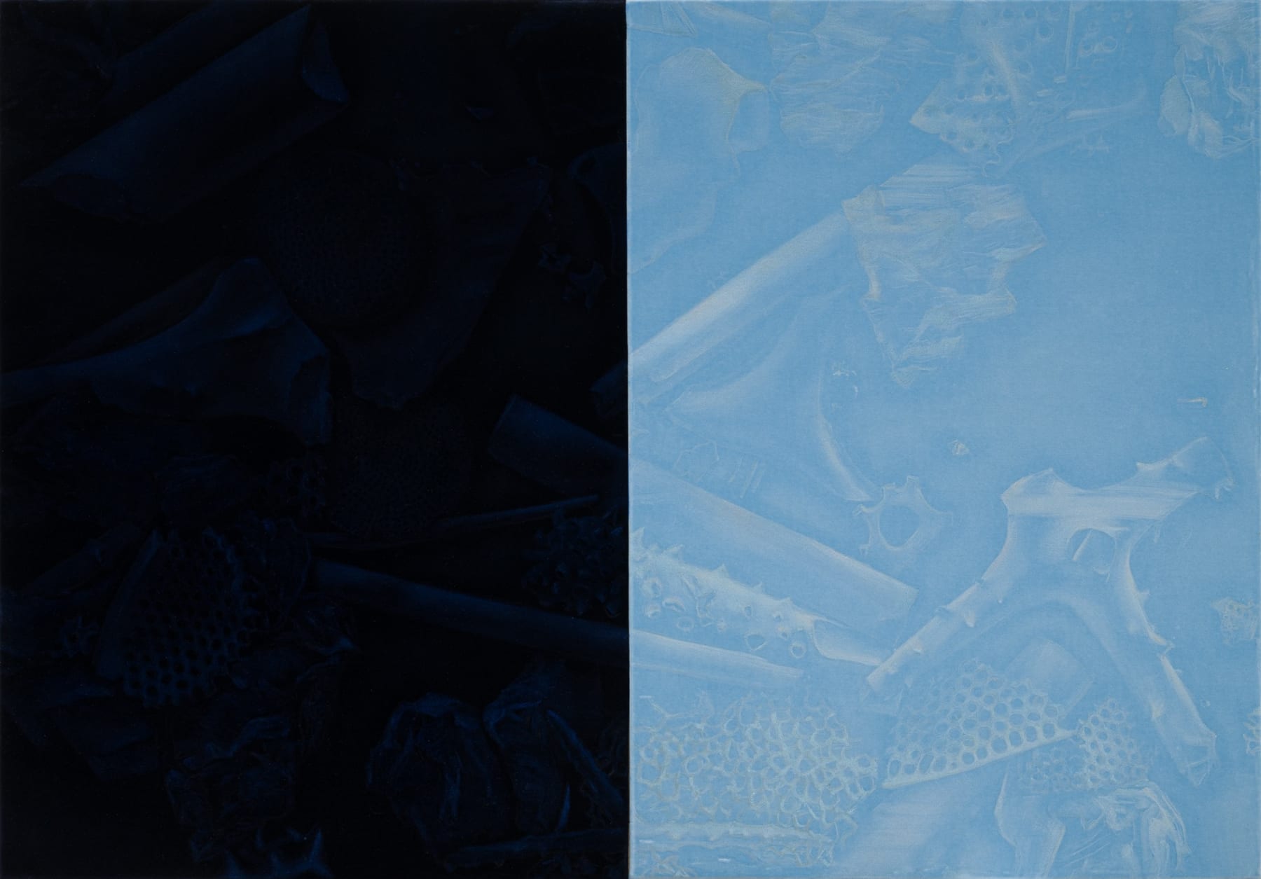 Rita Süveges, Material Cycles 01. (Diatoms), 2025