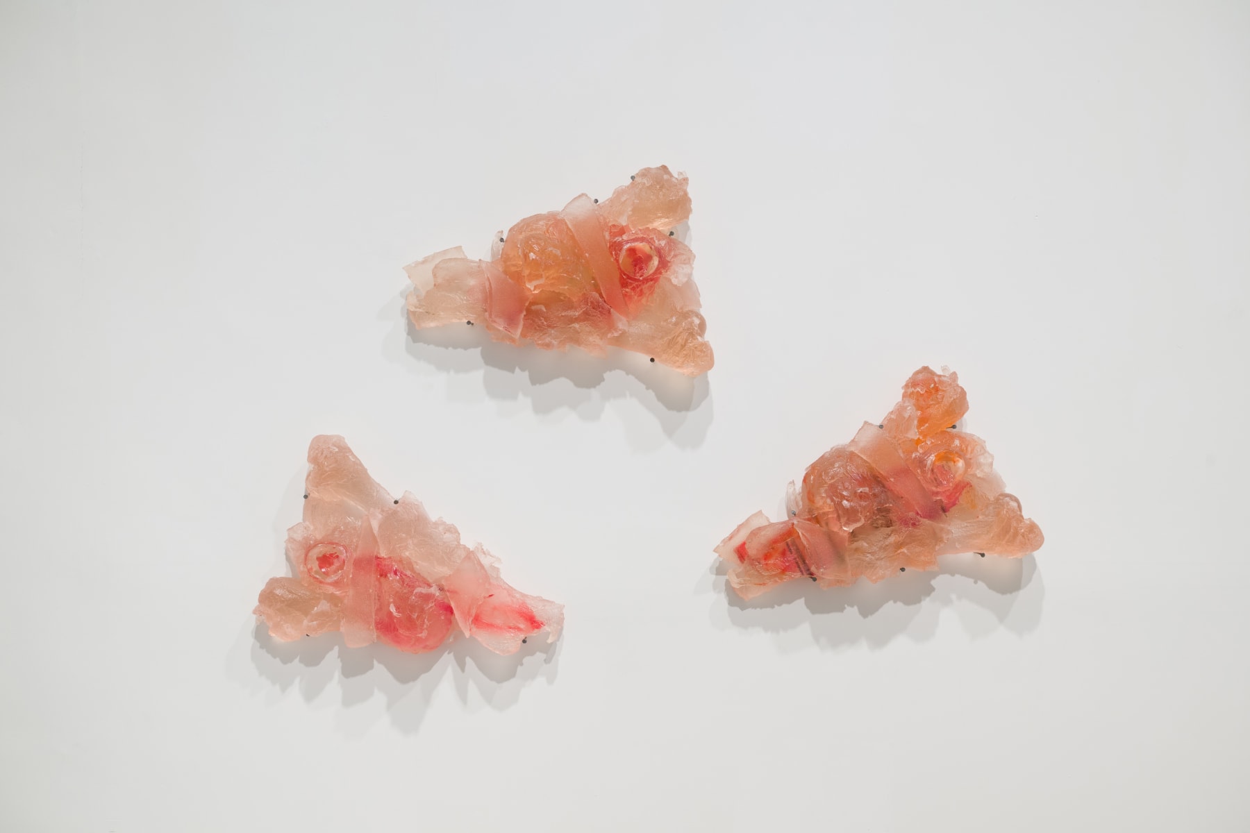 Maria Kulikovska, Prosthetic Skin, 2025