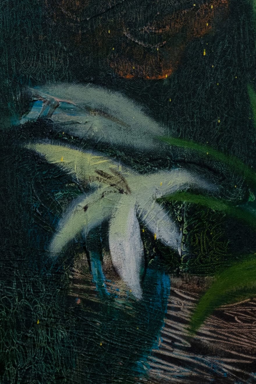Kateřina Ondrušková, Meadow, 2024