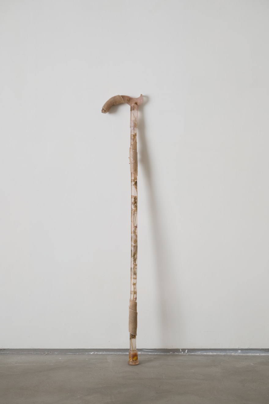 Maria Kulikovska, Liminal Botanical Support Apparatus: Cane No. 2, 2025