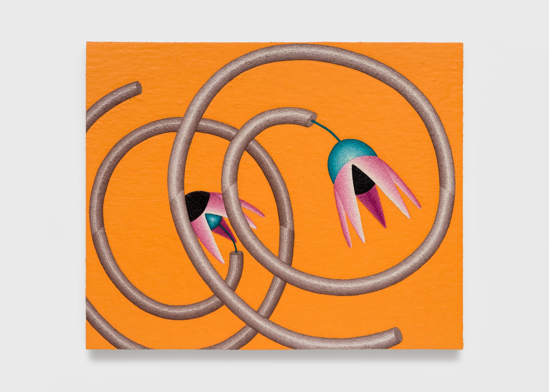 Nadia Ayari, Twirl, 2023