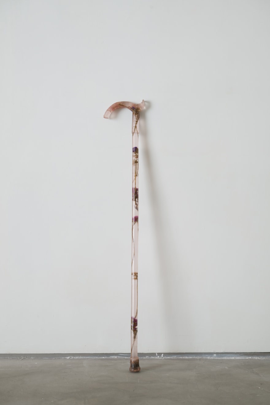 Maria Kulikovska, Liminal Botanical Support Apparatus: Cane No. 3, 2025