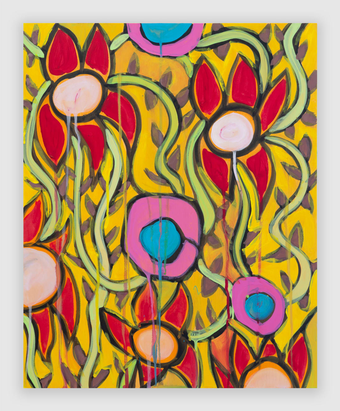 Rob Ventura, Canna Lily V, 2024