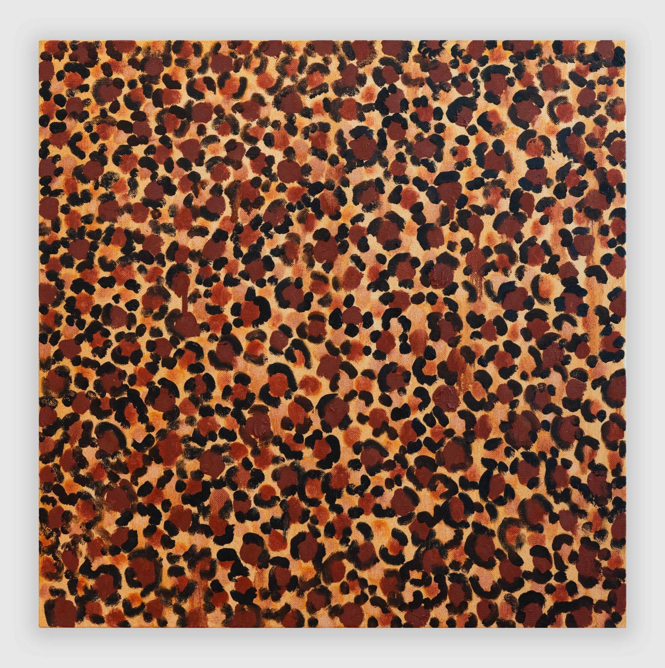 Rob Ventura, Leopard, 2023