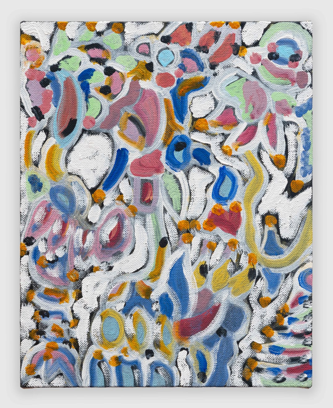 Rob Ventura, Orchid, 2024