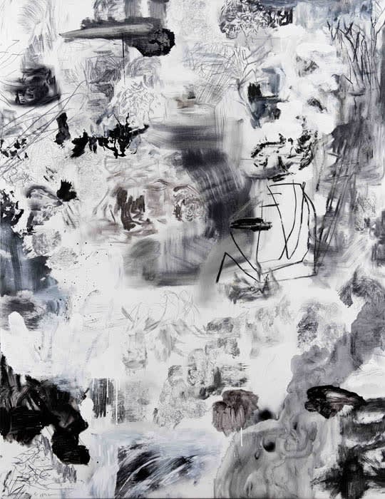 Eduardo Stupia, Landscape I, 2010