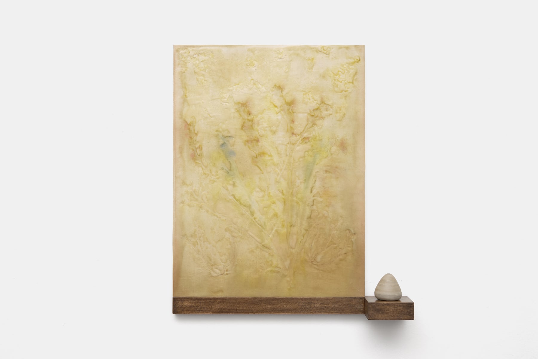 Bongsu Park, Janhayang: Fri 16 May, 2025