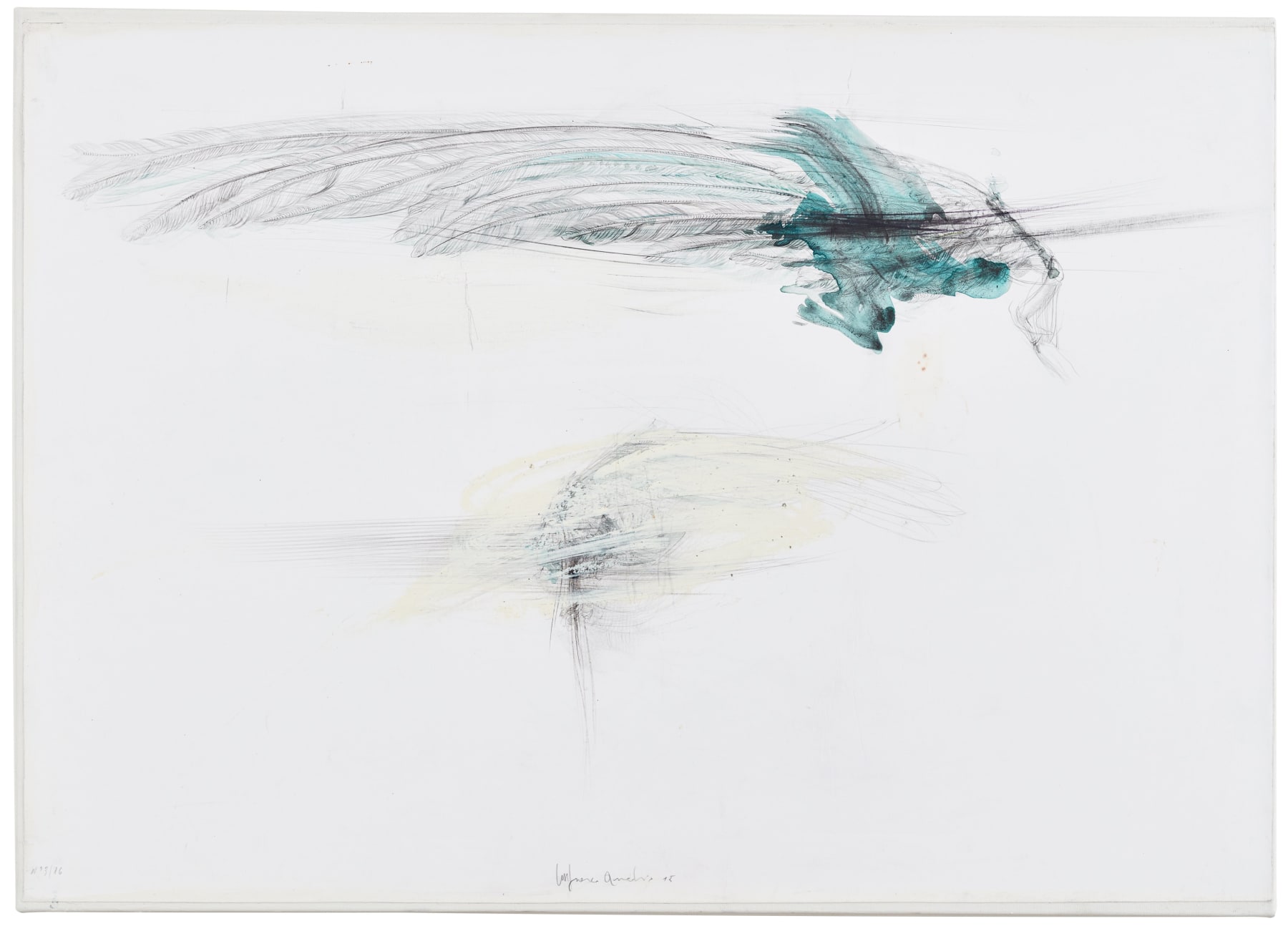 Lanfranco Quadrio, Bird wings, 2016
