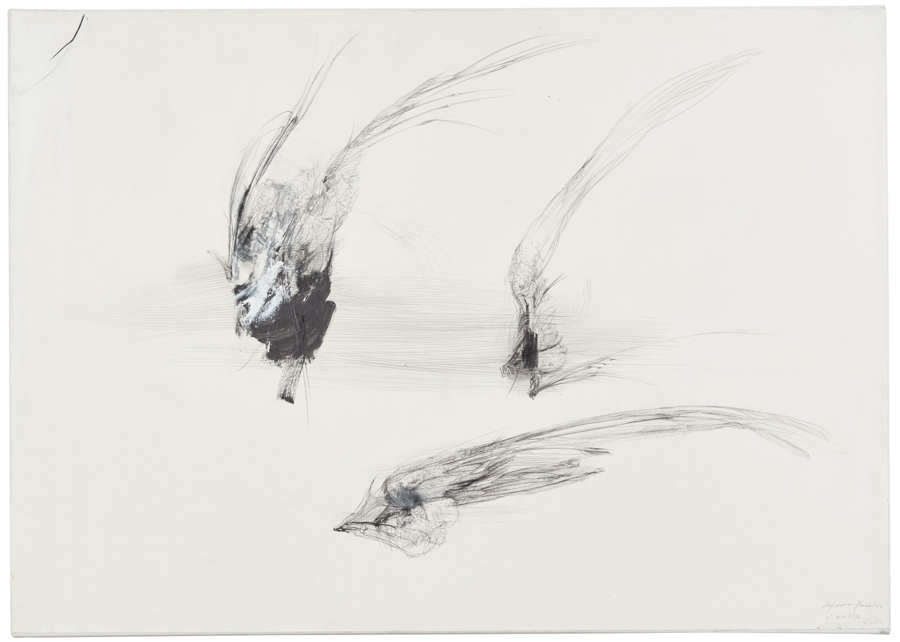 Lanfranco Quadrio, Fragmenti d’Ali, 2016