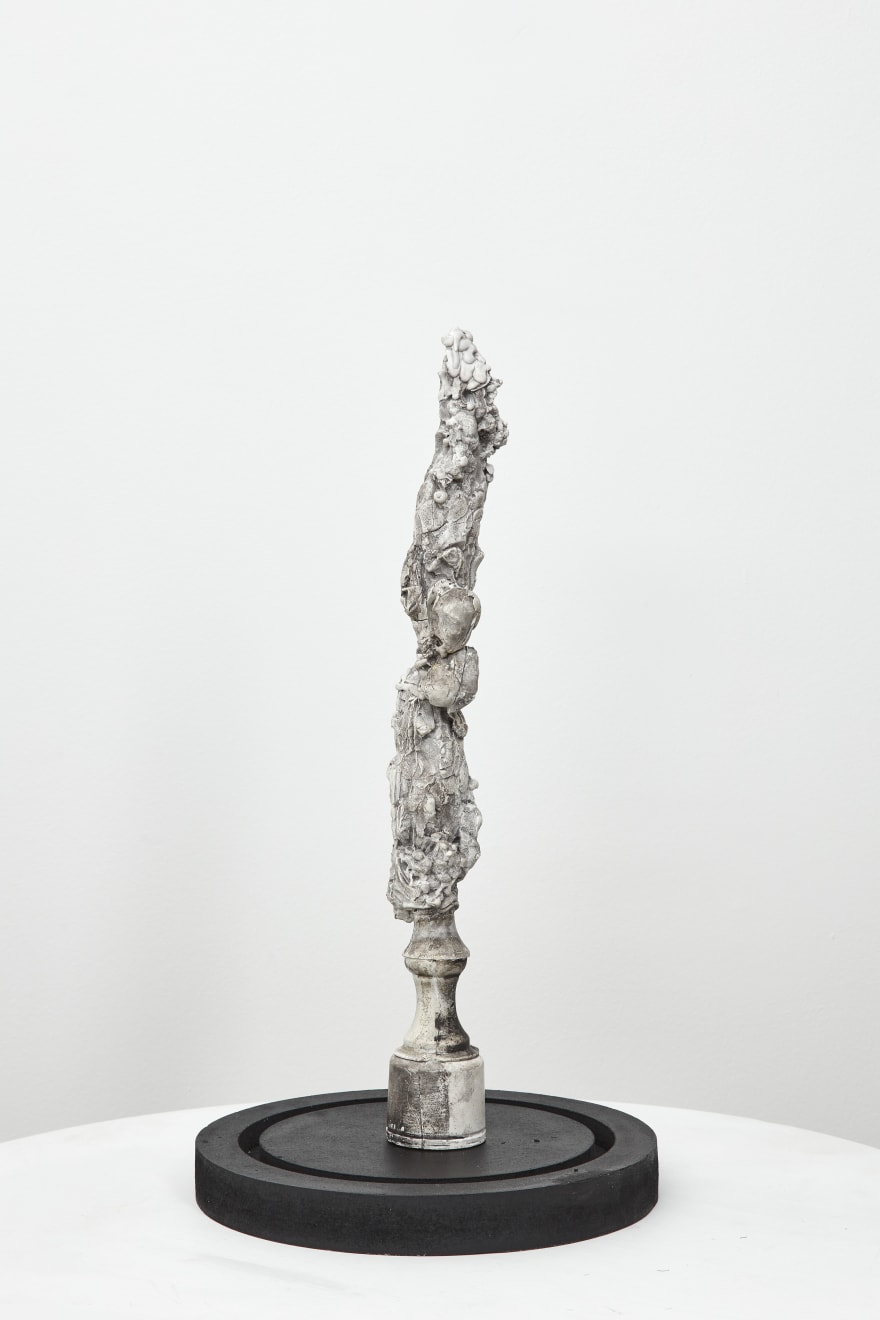 Nicola Samori, Lieve Legno, 2017