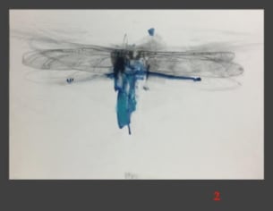 Lanfranco Quadrio, Dragonfly wing, 2016