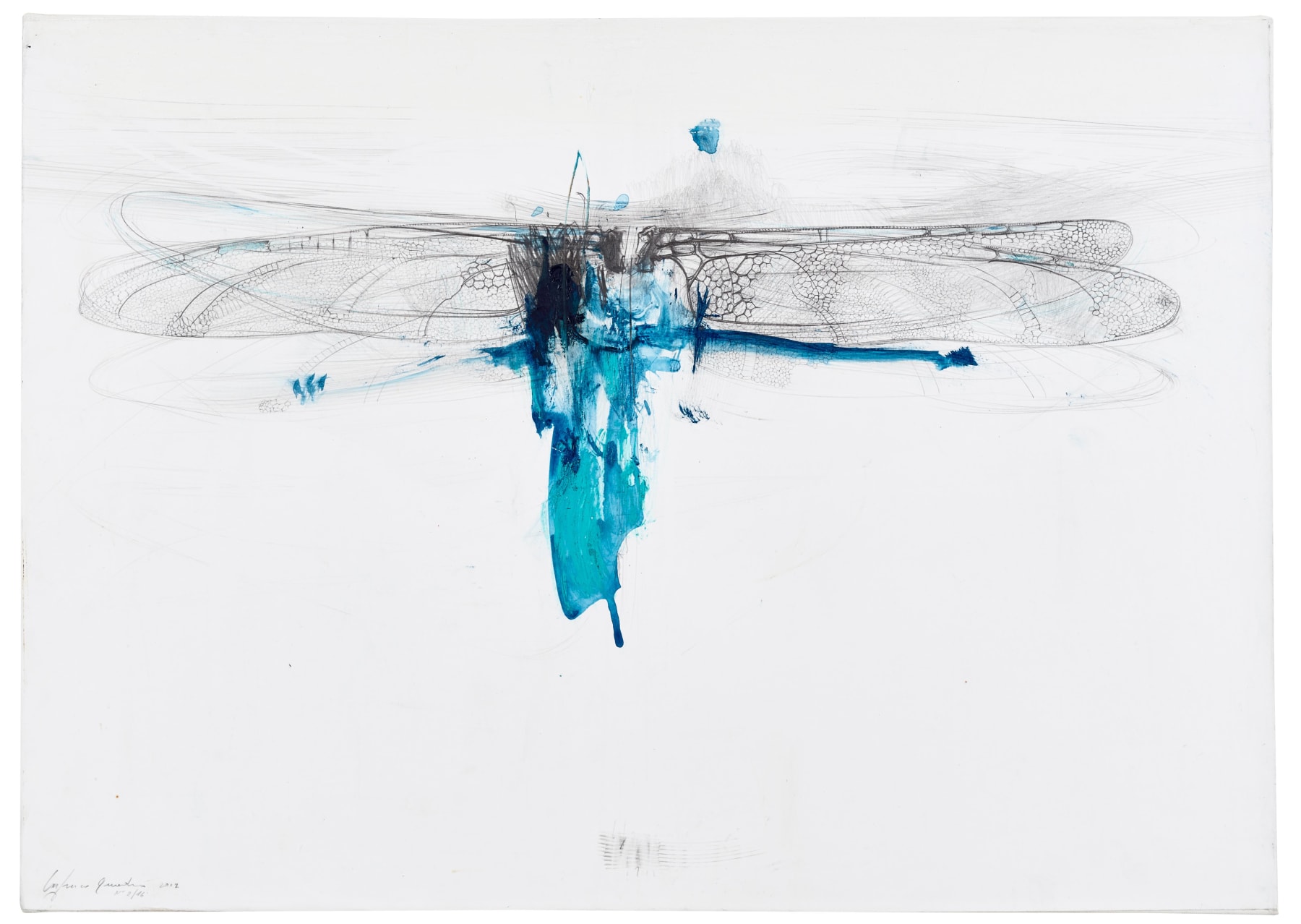 Lanfranco Quadrio, Dragonfly wing, 2016