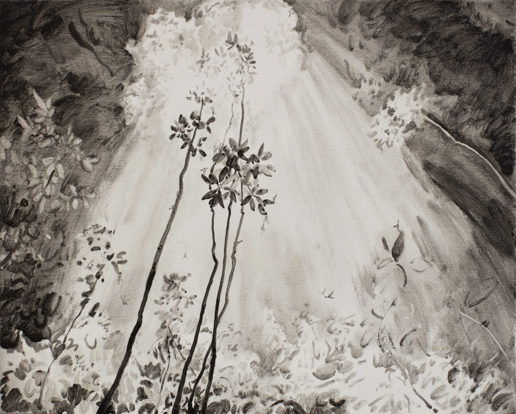 Lu Chao, Dancing under the sunlight no.3, 2020