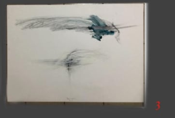 Lanfranco Quadrio, Bird wings, 2016