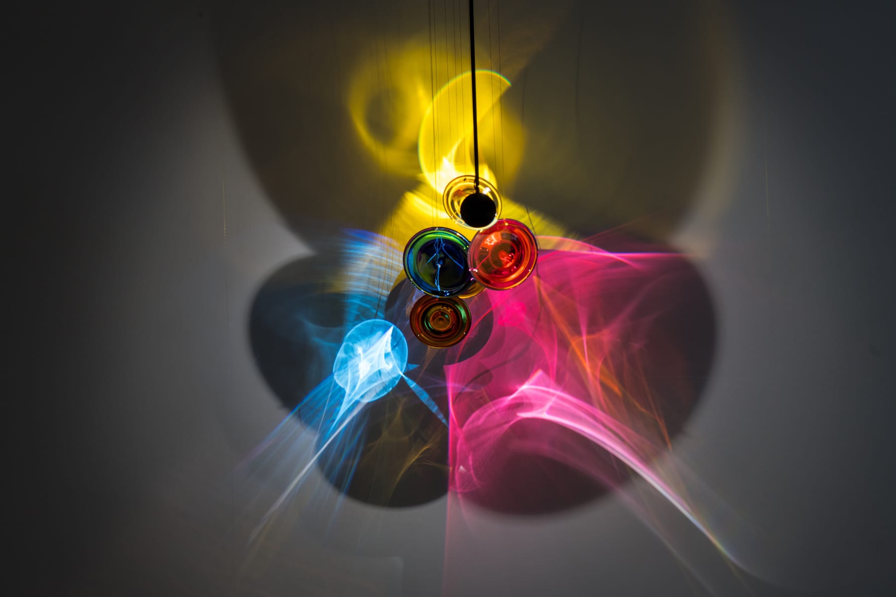 Shuster + Moseley, Living light, 2020