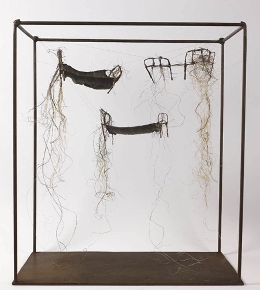 Rossana Zaera, In a Coma, 2009