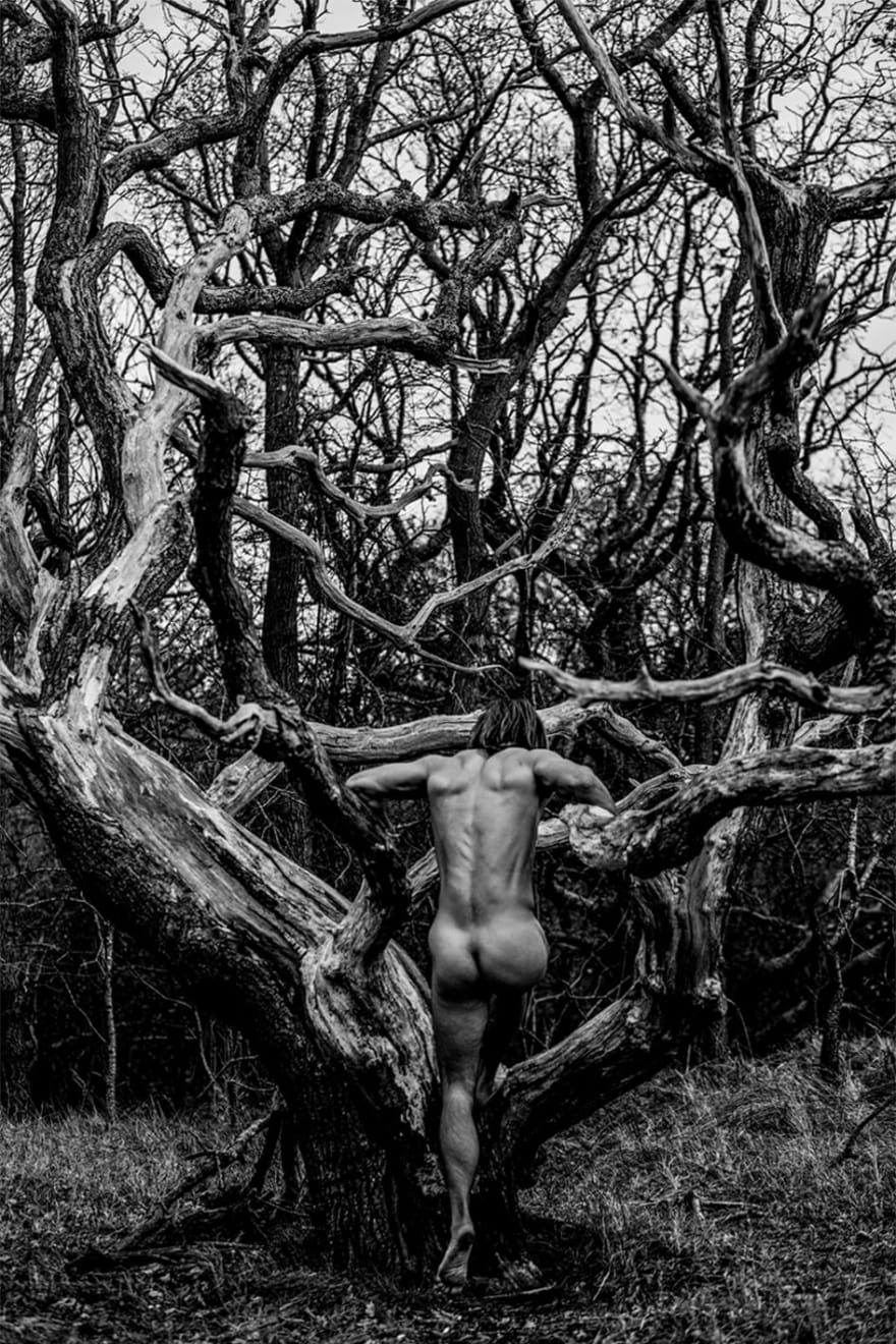 Ruben van Schalm, Renaissance