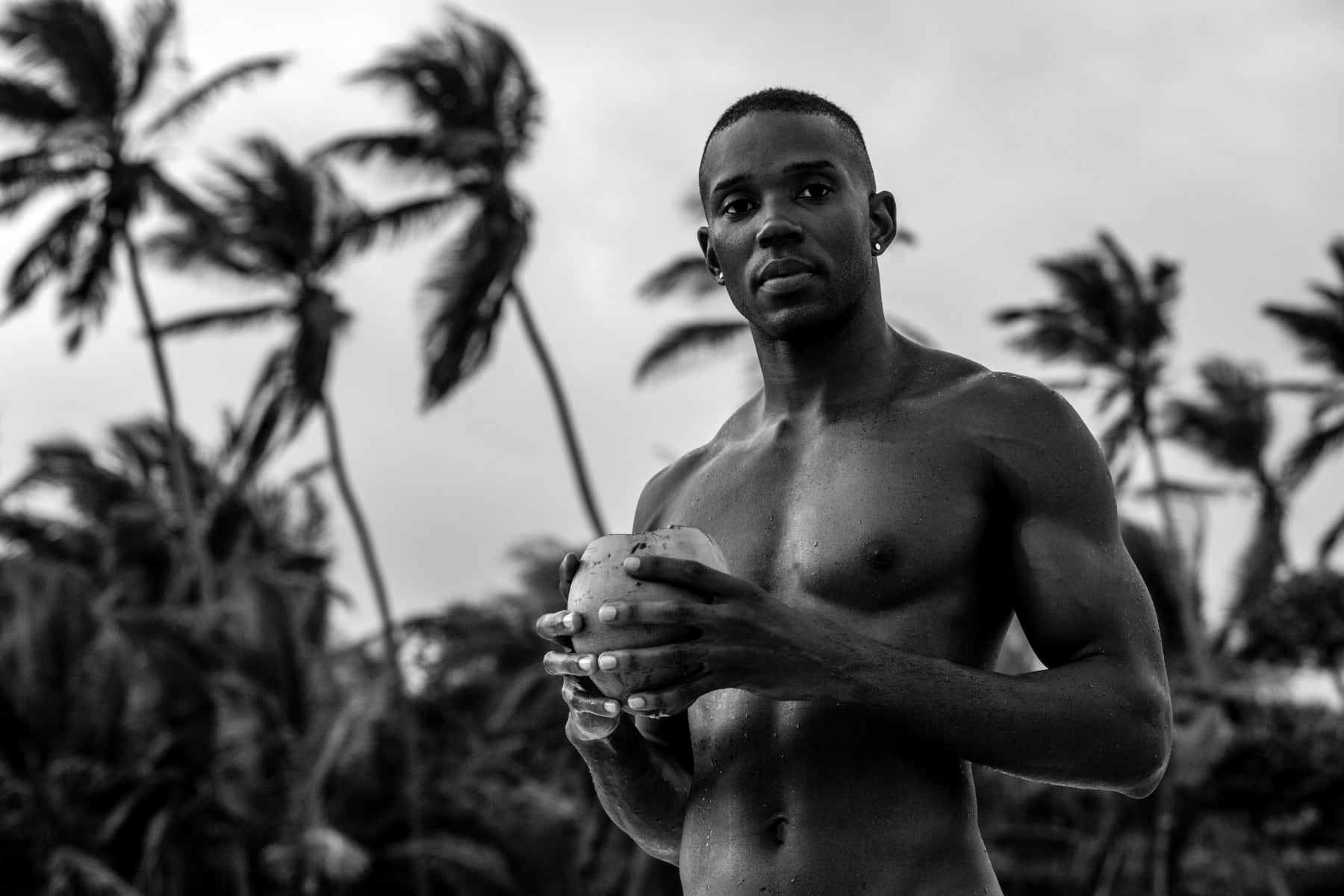 Ruben van Schalm, The Wind