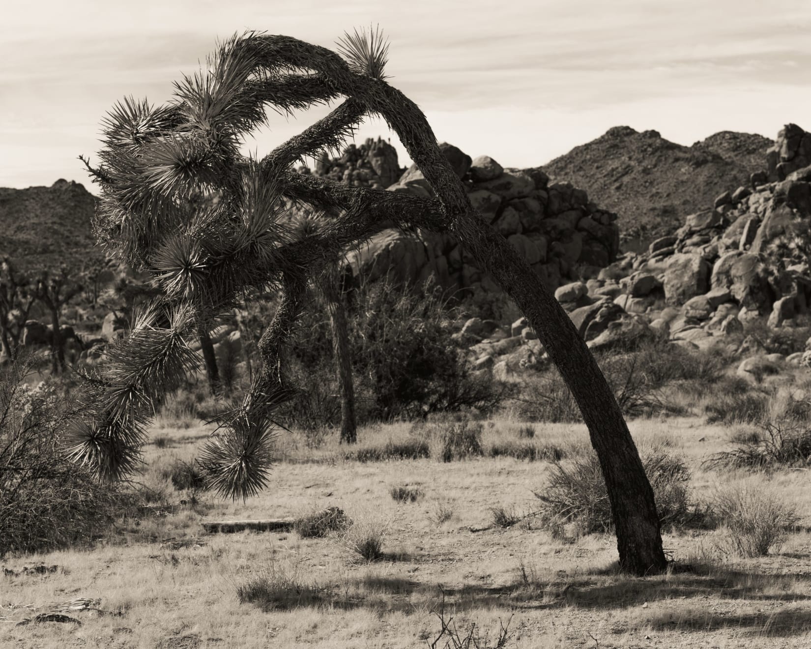 Ruben van Schalm, Bending Not Broken