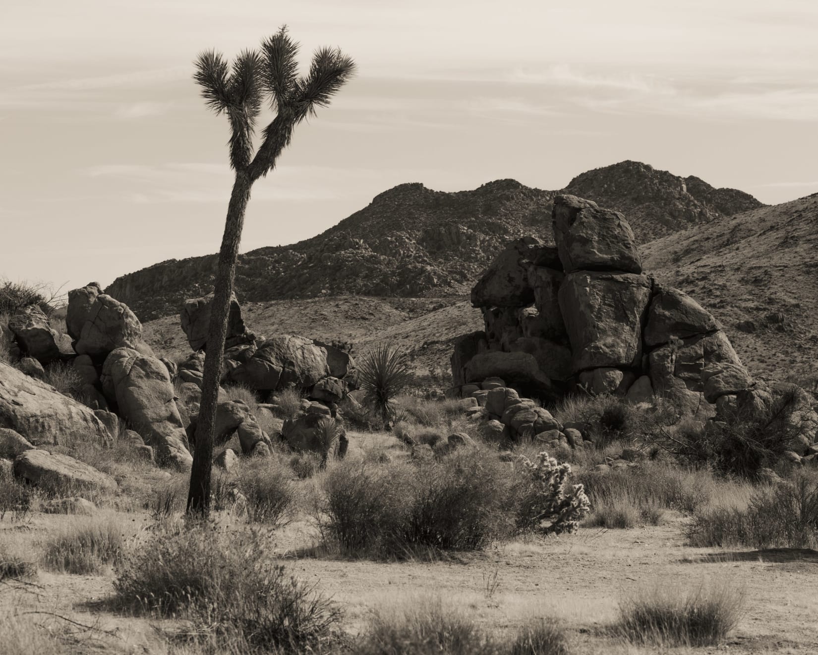 Ruben van Schalm, Sentinel Dreams