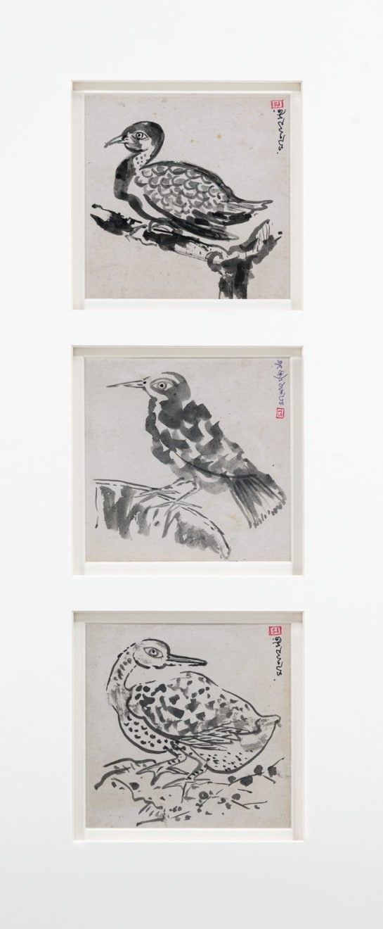 Manoj Dutta, Bird, 2016