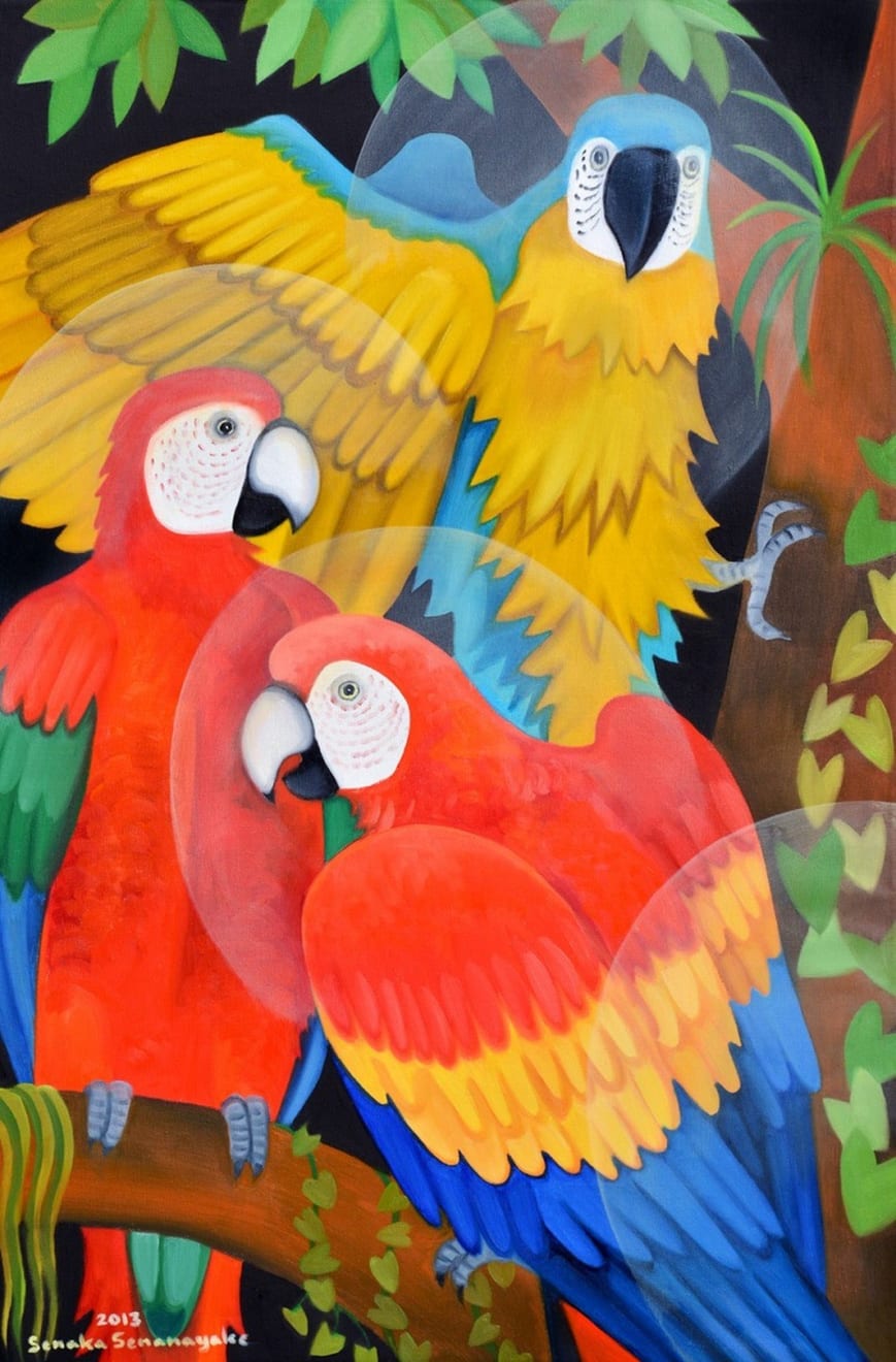 Senaka Senanayake, The Macaws, 2013