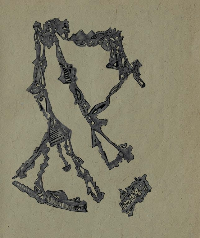 Deveshi Goswami, Untitled, 2014