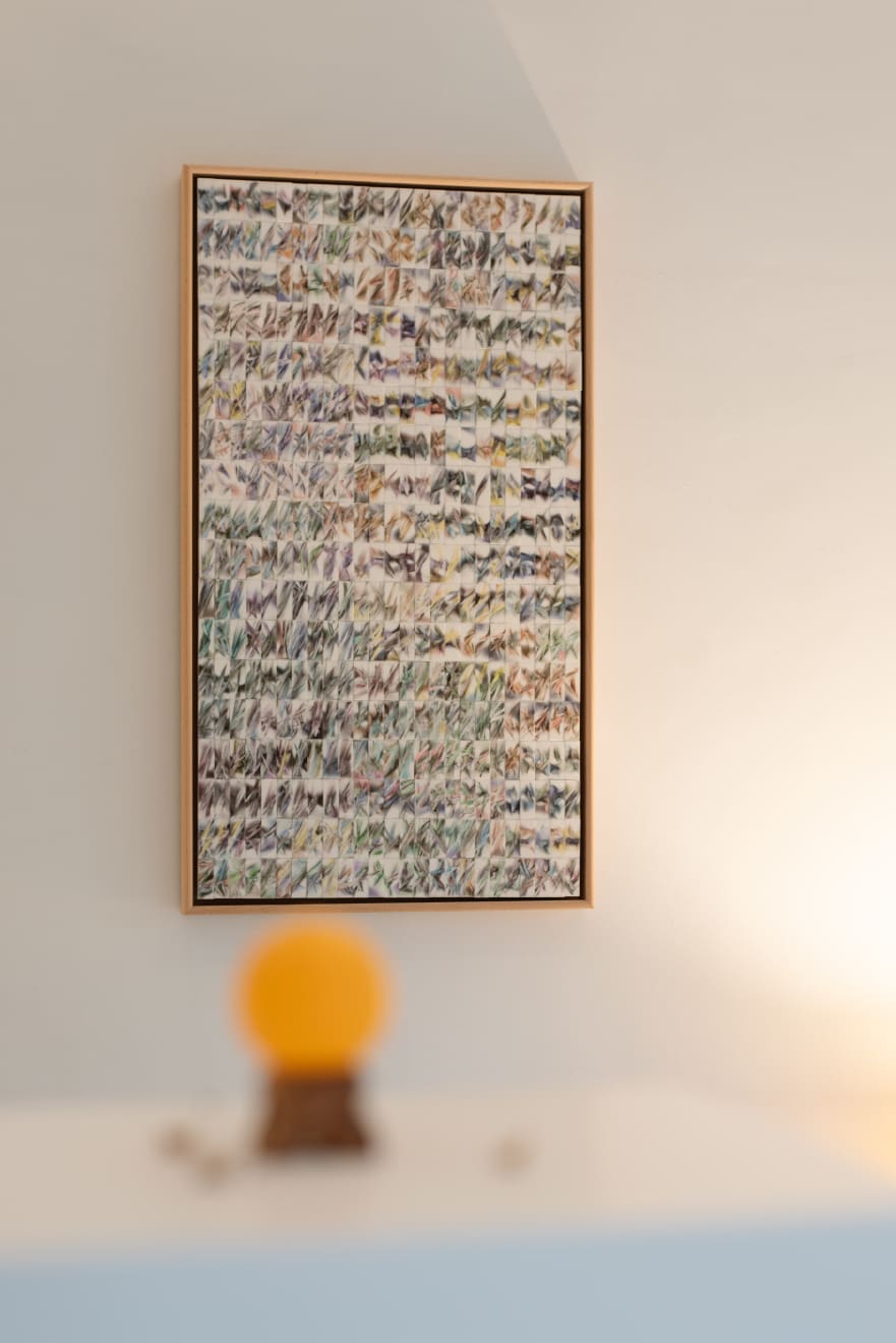 Sophie Hing Yee Cheung, Erasing News: If the Grass is Grounded Itself as Whirling Dluid, 2024
