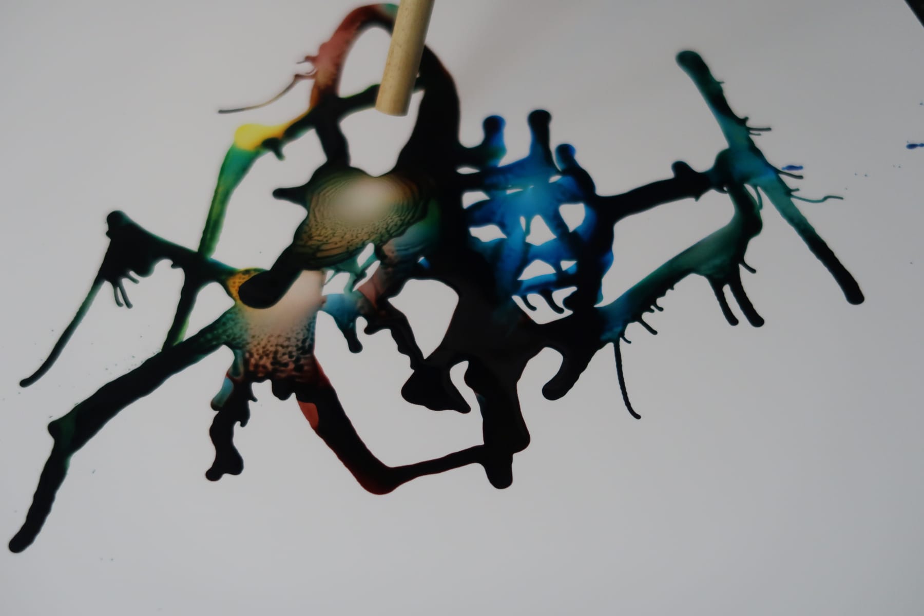 Sophie Hing Yee Cheung, CMYK Painting: Withered Flowers and Tree Cross Sections, 2024