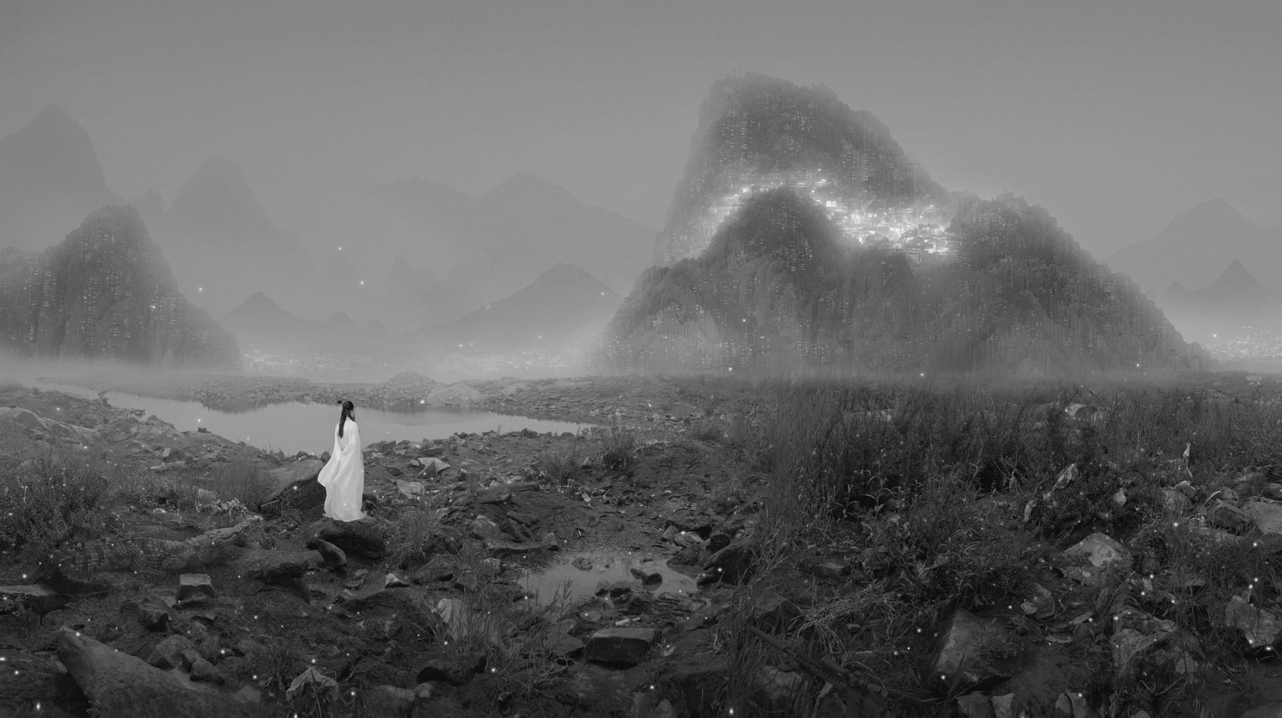 Yang Yongliang, Silent Valley - A Crocodile and Shotgun, 2012