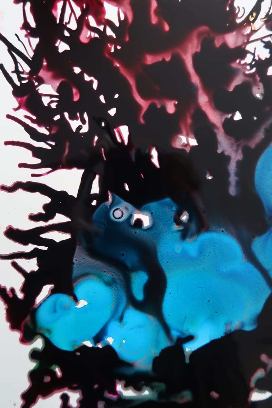 Sophie Hing Yee Cheung, CMYK Painting: Withered Flowers and Tree Cross Sections, 2024