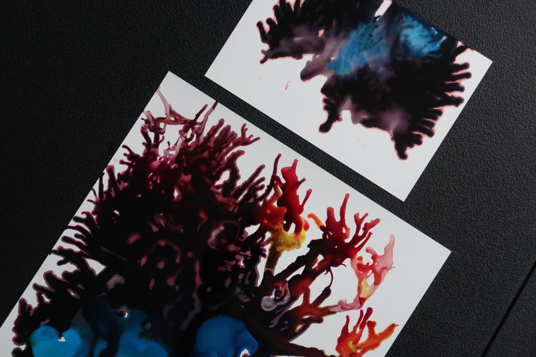 Sophie Hing Yee Cheung, CMYK Painting: Withered Flowers and Tree Cross Sections, 2024