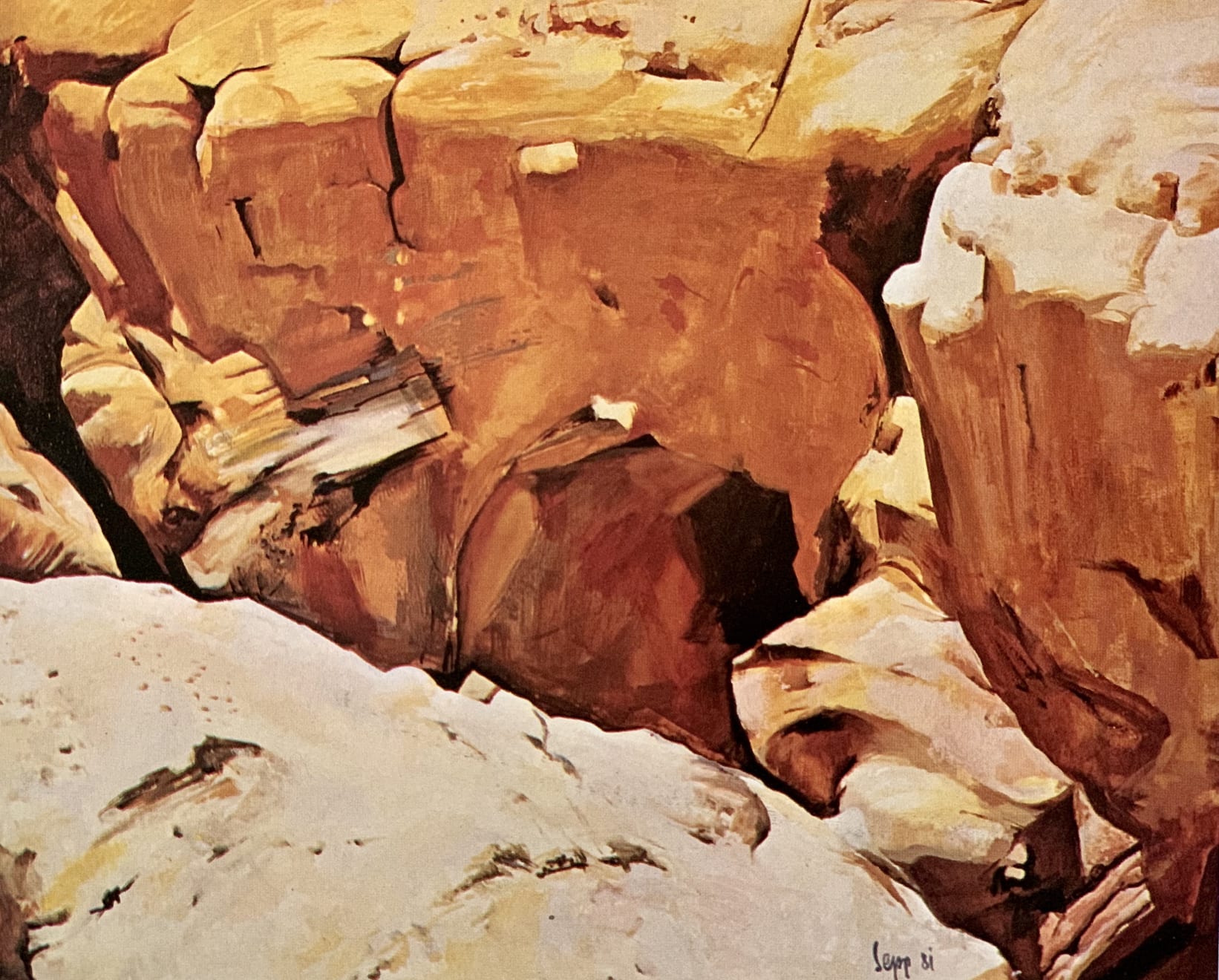 Sepp Baendereck, Amazonia 2001 - IV, 1981