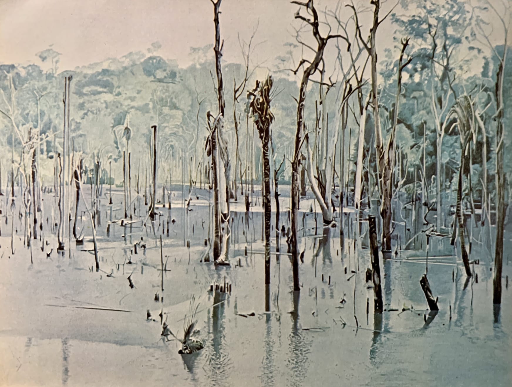 Sepp Baendereck, Na margem da Transamazônica I, 1977