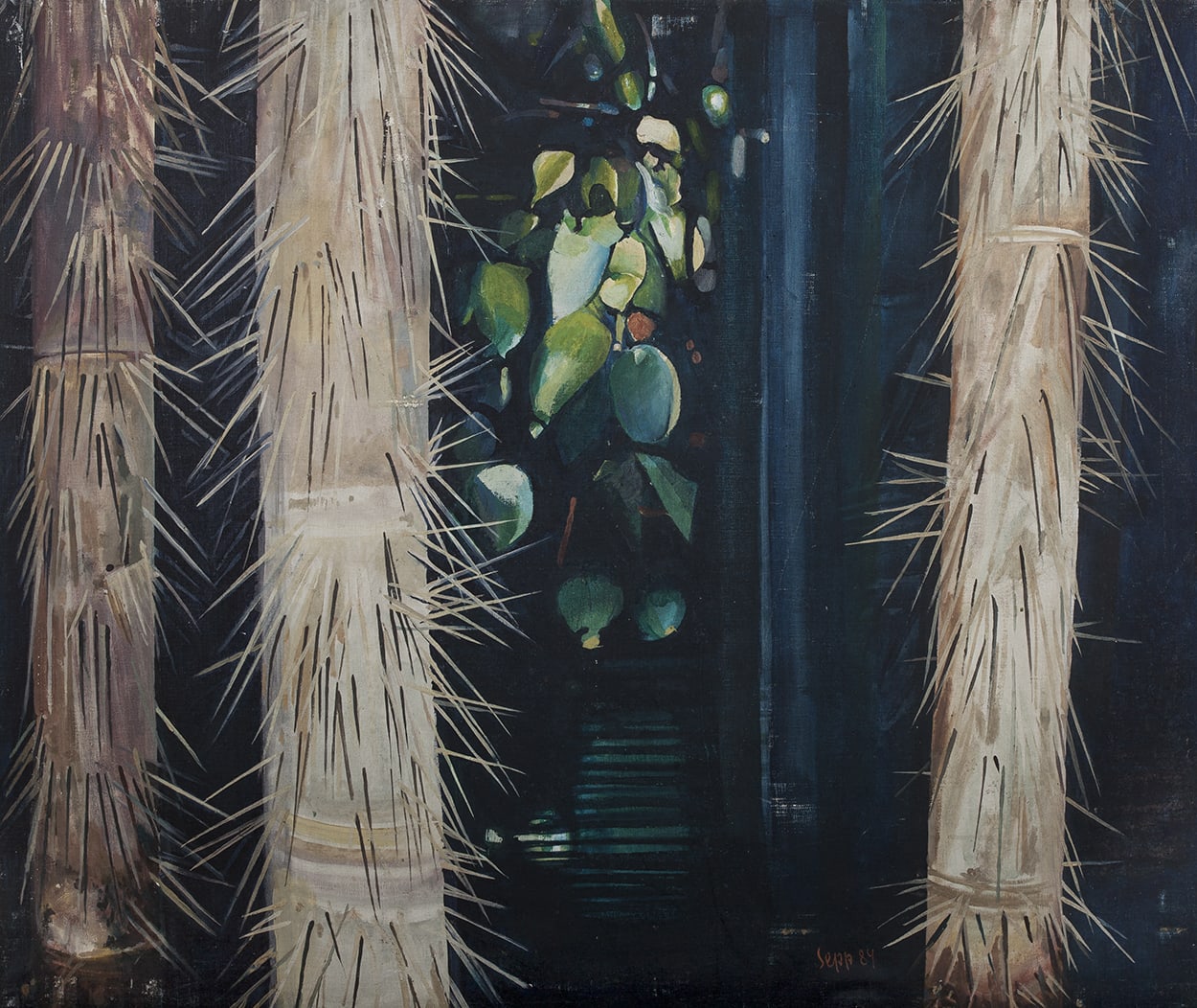 Sepp Baendereck, Palmeiras Jauari, 1984