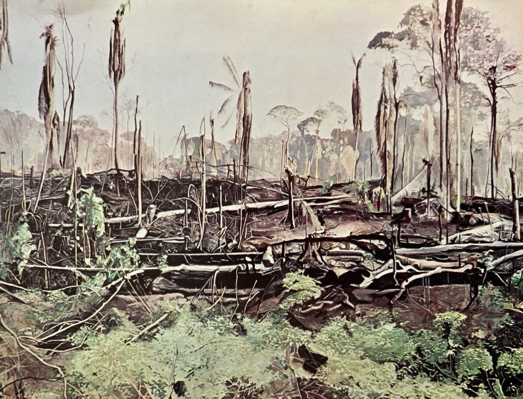 Sepp Baendereck, Na Margem da Transamazônica II, 1977