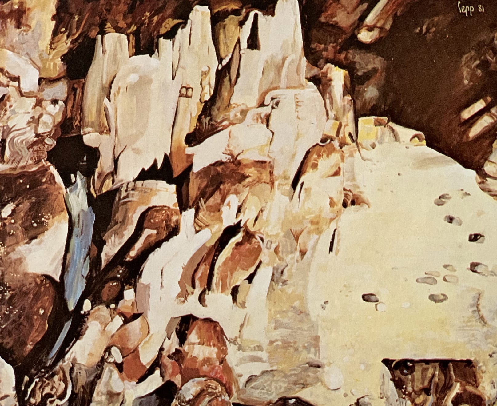 Sepp Baendereck, Amazonia 2001 - III, 1981