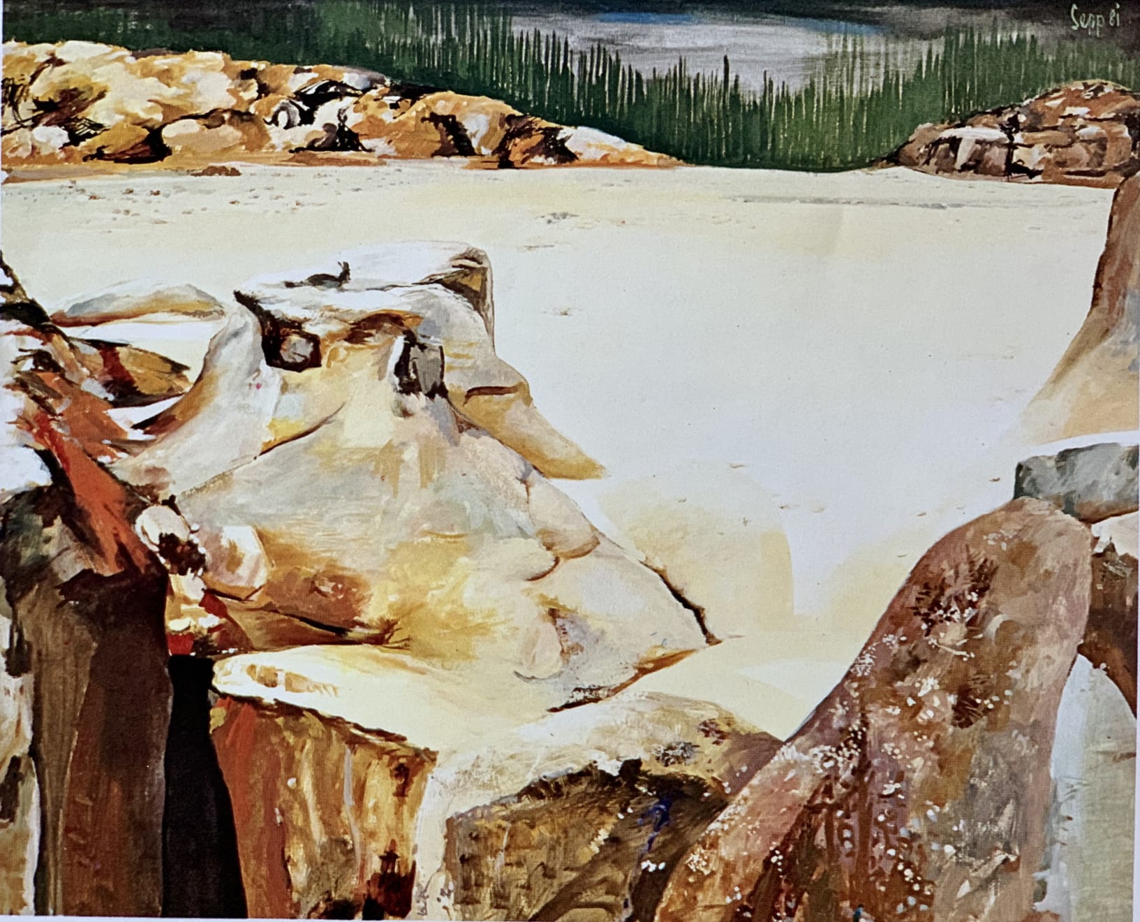 Sepp Baendereck, Amazonia 2001 - II, 1981