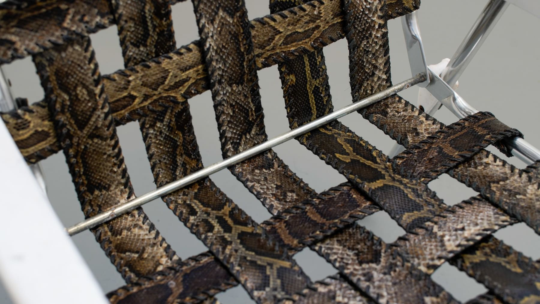 Sasha Wortzel, Sitting Shiva, 2021