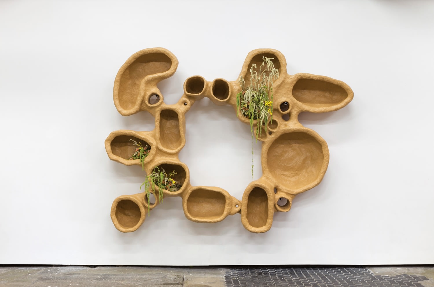 Thomas Barger, Sorting laundry for a family of 5, 2017