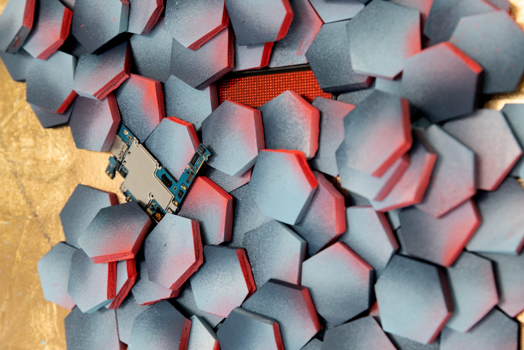 Yuliia Korienkova, Plasticity