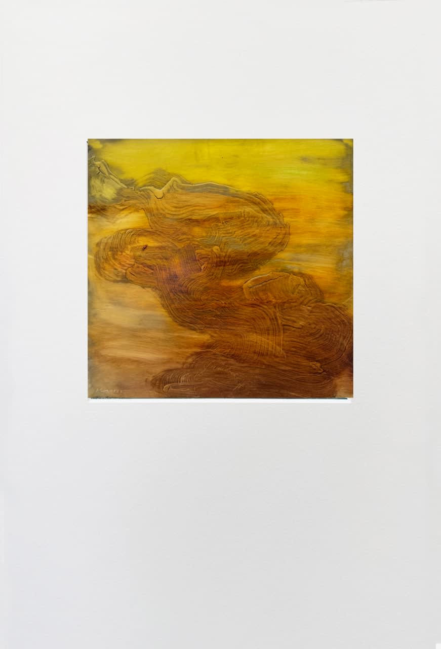 Krista Harris, The Tree, 2024