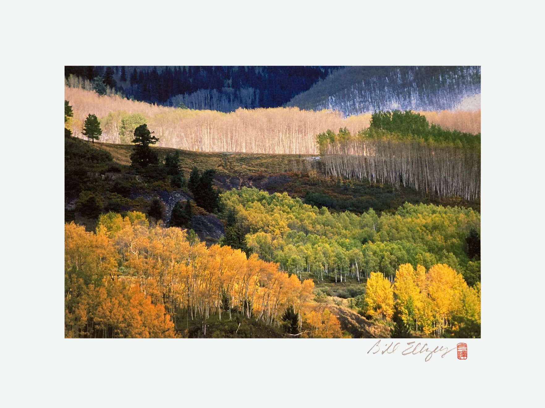 Color photograph of a valley in autumn taken by slate gray gallery artist Bill Ellzey