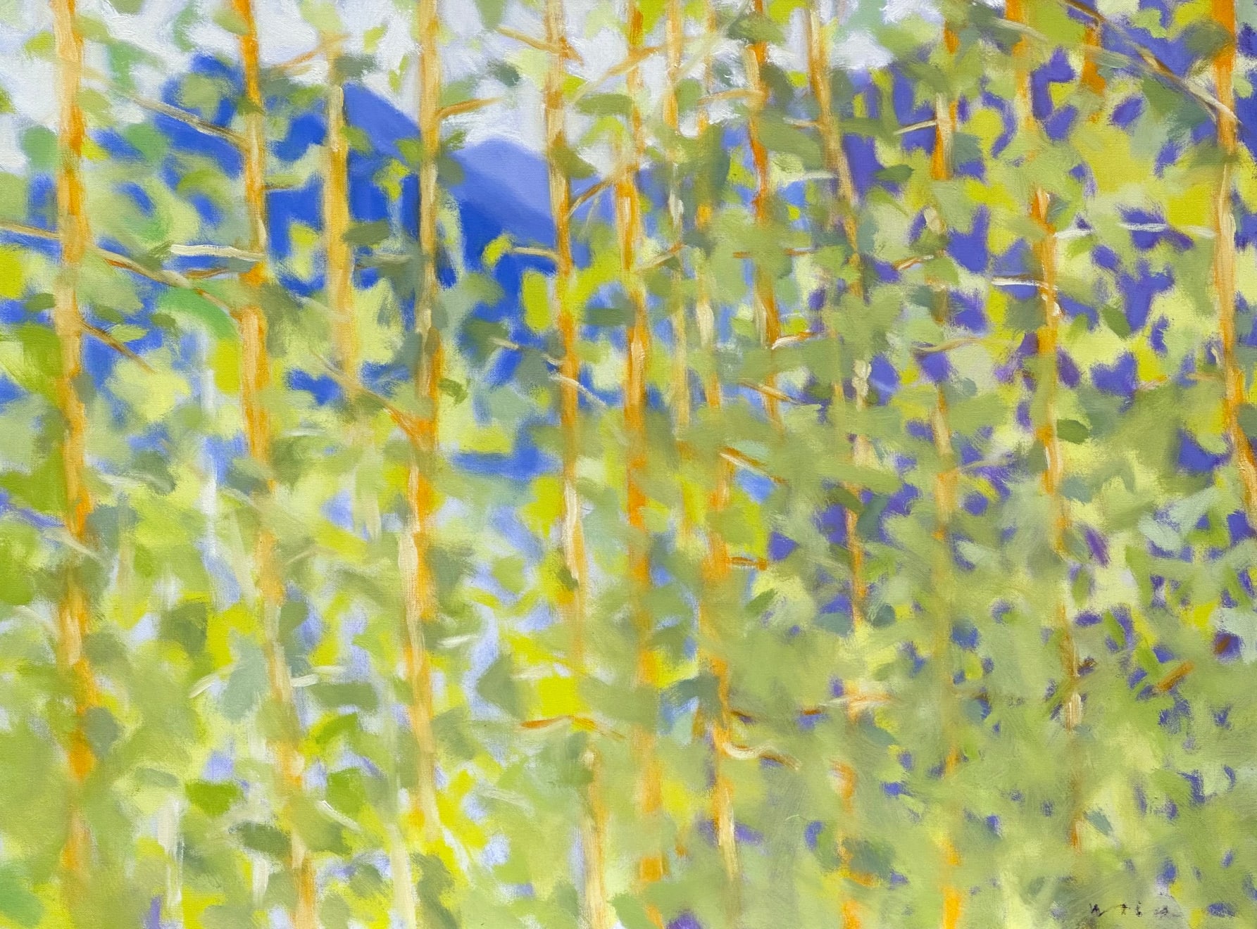 Marshall Noice, Town Park Aspens, 2024