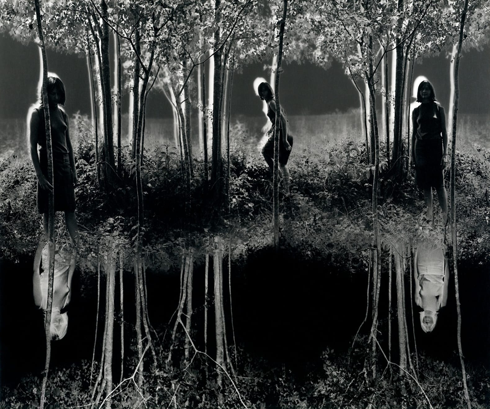Silver Gelatin Print of slate gray gallery artist Jerry Uelsmann's Small Woods Where I Met Myself