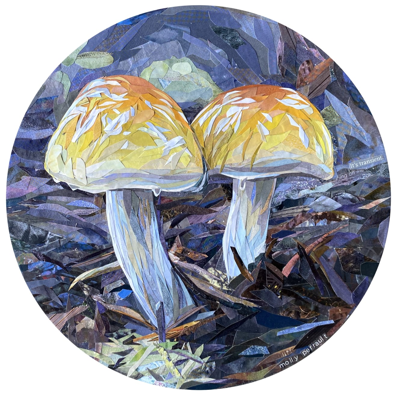 Molly Perrault, It's Transient, 2022